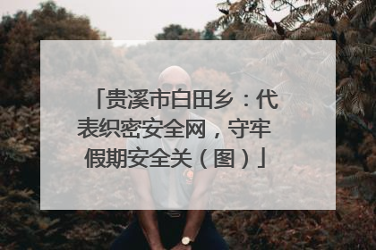 贵溪市白田乡：代表织密安全网，守牢假期安全关（图）
