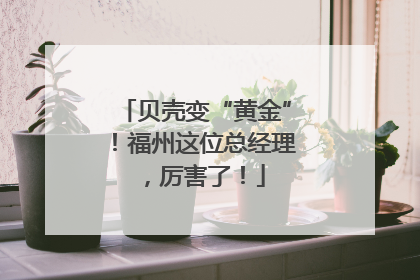 贝壳变“黄金”！福州这位总经理，厉害了！