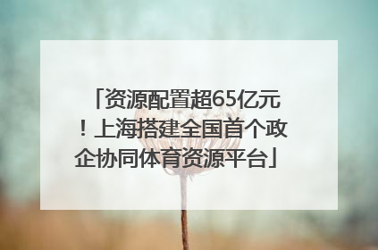 资源配置超65亿元！上海搭建全国首个政企协同体育资源平台