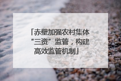 赤壁加强农村集体“三资”监管，构建高效监管机制