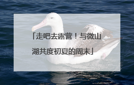 走吧去露营！与微山湖共度初夏的周末