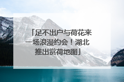 足不出户与荷花来一场浪漫约会！湖北推出赏荷地图