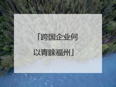 跨国企业何以青睐福州