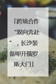 跨境合作“双向奔赴”，长沙装备叩开俄罗斯大门