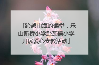跨越山海的课堂，乐山新桥小学赴瓦侯小学开展爱心支教活动