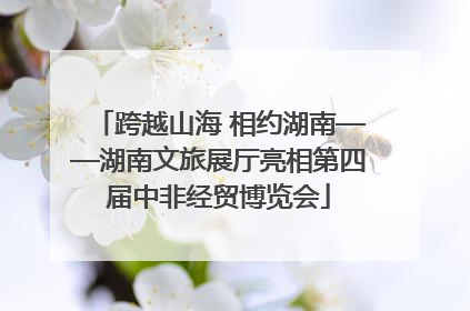 跨越山海 相约湖南——湖南文旅展厅亮相第四届中非经贸博览会