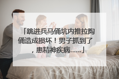 跳进兵马俑坑内推拉陶俑造成损坏！男子抓到了，患精神疾病……