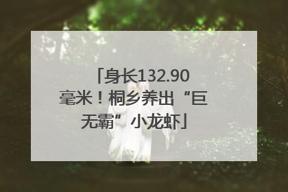 身长132.90毫米！桐乡养出“巨无霸”小龙虾