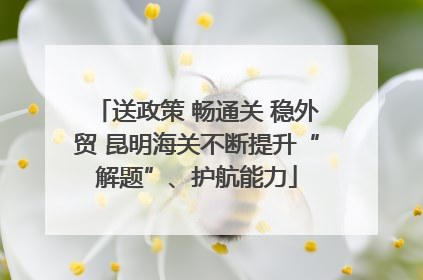 送政策 畅通关 稳外贸 昆明海关不断提升“解题”、护航能力