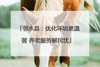 邻水县：优化环境更温馨 养老服务解民忧