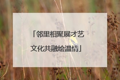 邻里相聚展才艺 文化共融绘温情