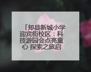 郏县新城小学迎宾街校区：科技游园会点亮童心 探索之旅启航未来