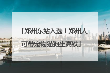 郑州东站入选！郑州人可带宠物猫狗坐高铁