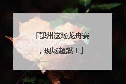 鄂州这场龙舟赛，现场超燃！