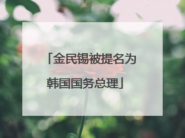 金民锡被提名为韩国国务总理