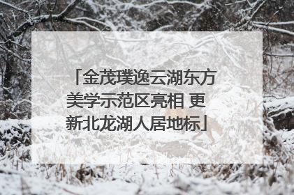 金茂璞逸云湖东方美学示范区亮相 更新北龙湖人居地标