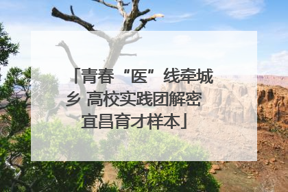 青春“医”线牵城乡 高校实践团解密宜昌育才样本