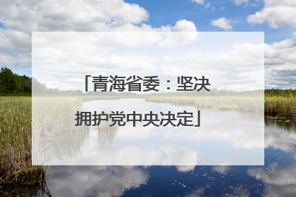 青海省委：坚决拥护党中央决定