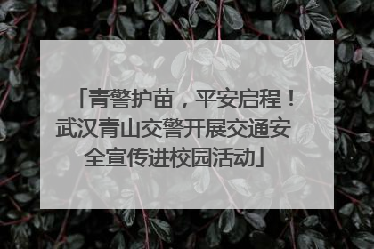 青警护苗，平安启程！武汉青山交警开展交通安全宣传进校园活动