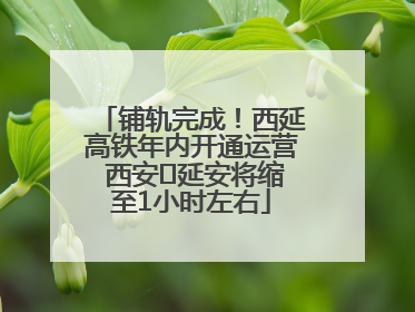 铺轨完成！西延高铁年内开通运营 西安⇌延安将缩至1小时左右