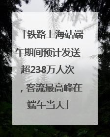 铁路上海站端午期间预计发送超238万人次，客流最高峰在端午当天
