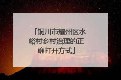 铜川市耀州区水峪村乡村治理的正确打开方式
