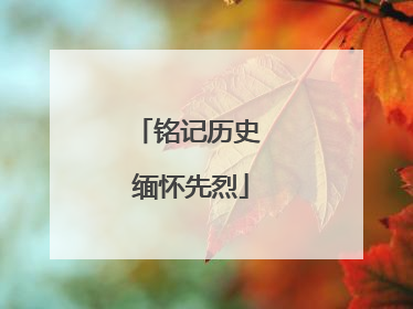 铭记历史 缅怀先烈