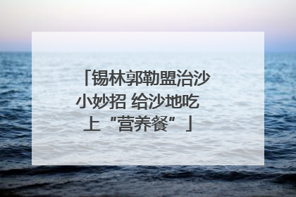 锡林郭勒盟治沙小妙招 给沙地吃上“营养餐”