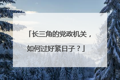 长三角的党政机关，如何过好紧日子？