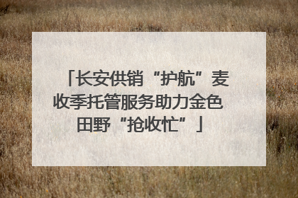 长安供销“护航”麦收季托管服务助力金色田野“抢收忙”