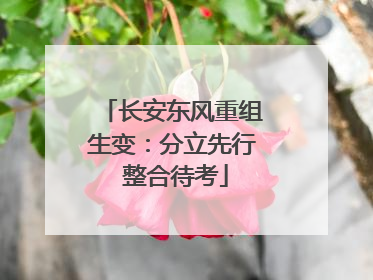长安东风重组生变：分立先行 整合待考