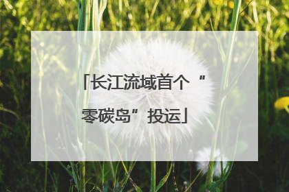 长江流域首个“零碳岛”投运
