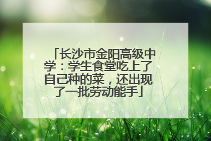 长沙市金阳高级中学：学生食堂吃上了自己种的菜，还出现了一批劳动能手