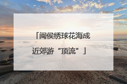 闽侯绣球花海成近郊游“顶流”