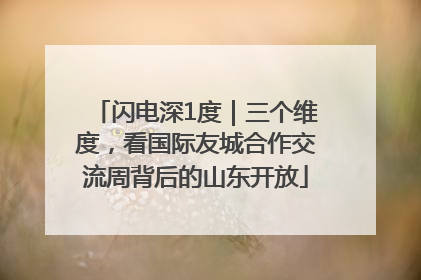 闪电深1度｜三个维度，看国际友城合作交流周背后的山东开放