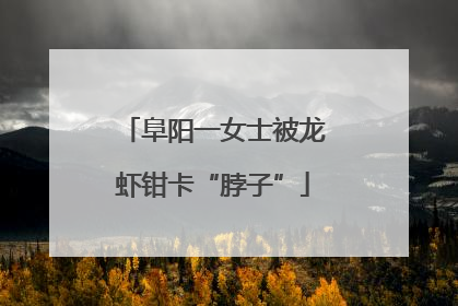 阜阳一女士被龙虾钳卡“脖子”