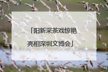 阳新采茶戏惊艳亮相深圳文博会