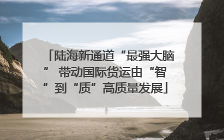 陆海新通道“最强大脑” 带动国际货运由“智”到“质”高质量发展