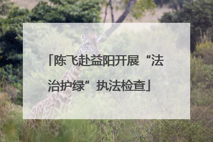 陈飞赴益阳开展“法治护绿”执法检查