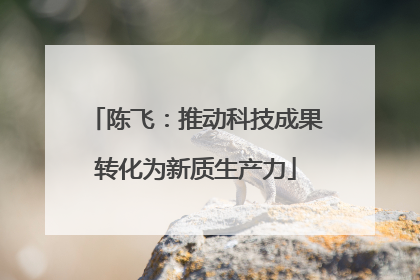 陈飞：推动科技成果转化为新质生产力