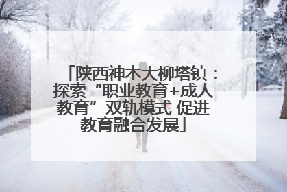 陕西神木大柳塔镇：探索“职业教育+成人教育”双轨模式 促进教育融合发展