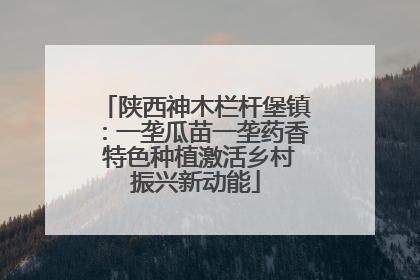 陕西神木栏杆堡镇：一垄瓜苗一垄药香 特色种植激活乡村振兴新动能