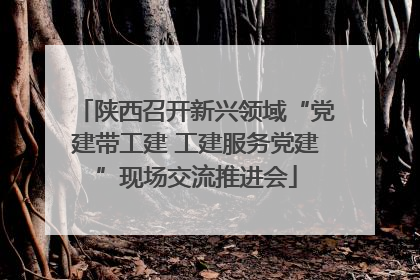 陕西召开新兴领域“党建带工建 工建服务党建”现场交流推进会