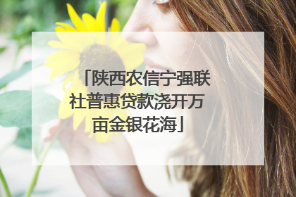 陕西农信宁强联社普惠贷款浇开万亩金银花海
