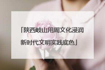 陕西岐山用周文化浸润新时代文明实践底色