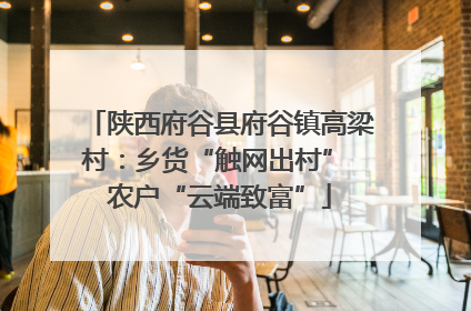 陕西府谷县府谷镇高梁村：乡货“触网出村” 农户“云端致富”