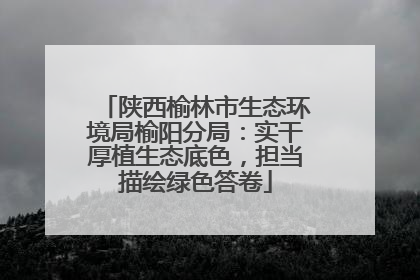 陕西榆林市生态环境局榆阳分局：实干厚植生态底色，担当描绘绿色答卷