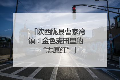 陕西陇县曹家湾镇：金色麦田里的“志愿红”