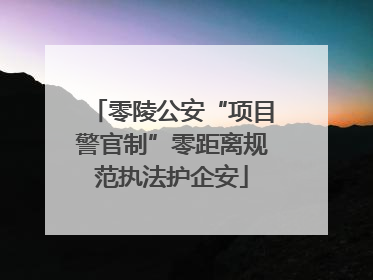 零陵公安“项目警官制”零距离规范执法护企安