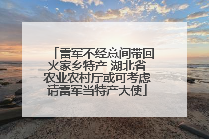 雷军不经意间带回火家乡特产 湖北省农业农村厅或可考虑请雷军当特产大使